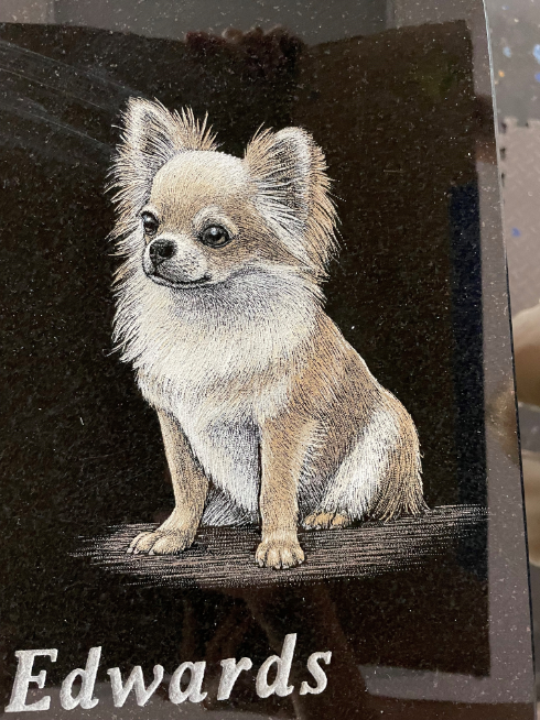 A drawing of a dog sitting on top of a rock.