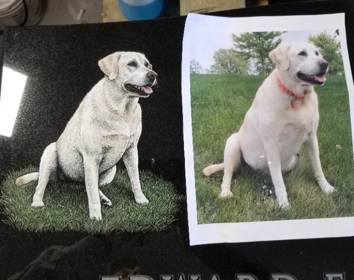 A dog sitting on top of grass next to another dog.