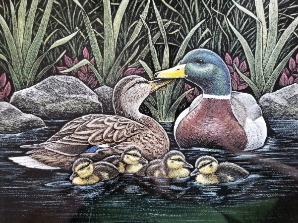 A painting of ducks and ducklings in water.